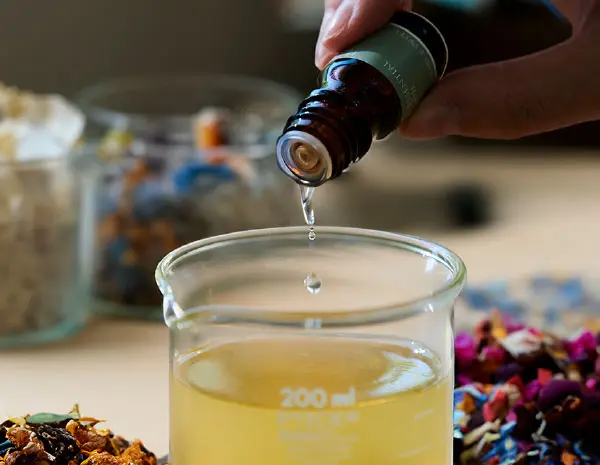 日本ホビーショー ARENAエリア〜生活の木